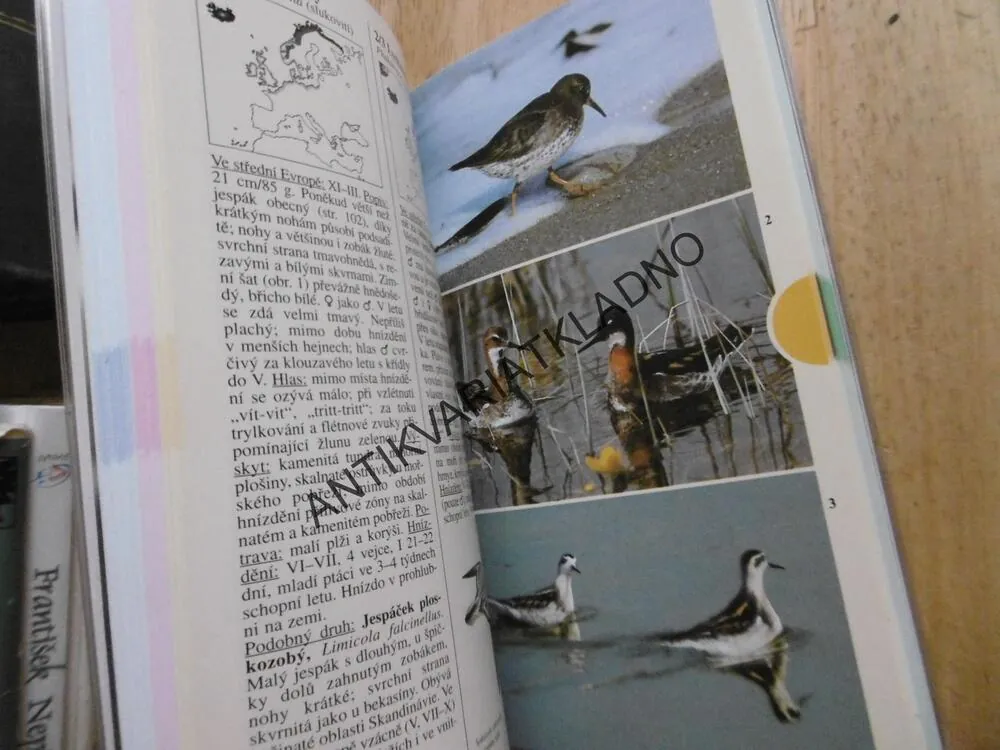 PTÁCI, KAPESNÍ ATLAS, J. NICOLAI, D. SINGER, K. WOTHE, **an