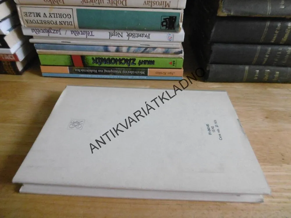 HAVRAN, EDGAR ALLAN POE, **an