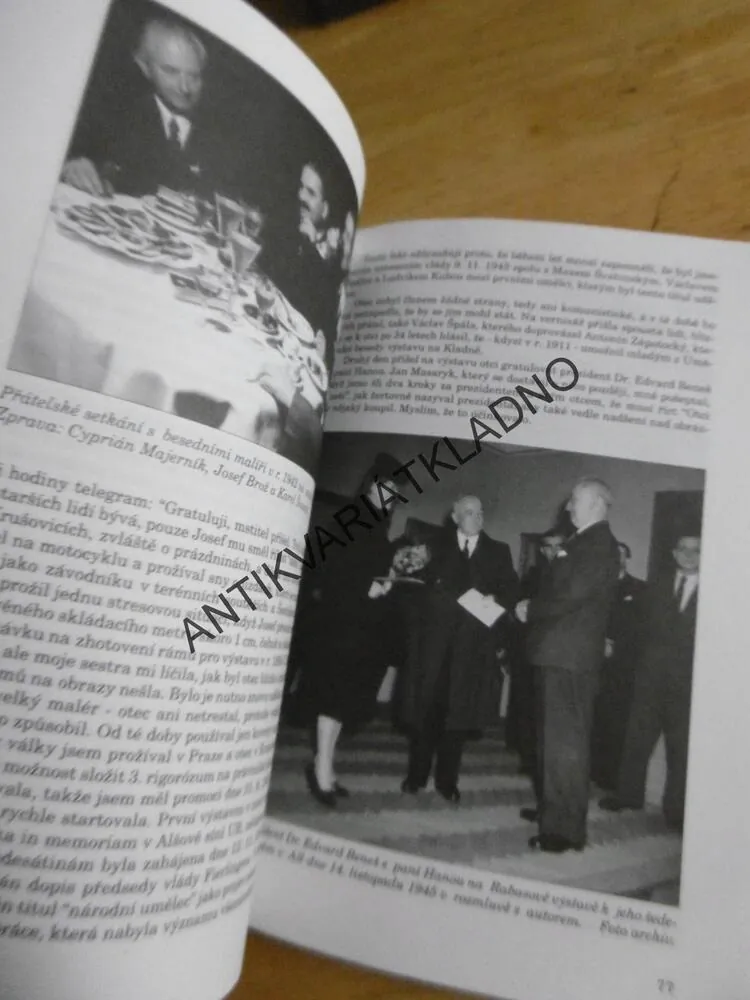 VÁCLAV RABAS, MALÍŘ OČIMA SVÉ ŽENY, DĚTÍ A HOSPODYNĚ, **an