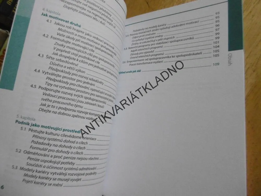 JAK MOTIVOVAT SEBE A SVÉ SPOLUPRACOVNÍKY, RAINER NIERMEYER, MANUEL SEYFFERT, **an