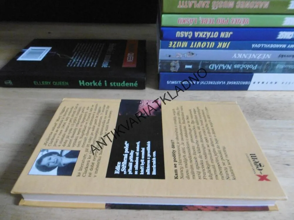 KAM SE PODĚLY DĚTI?, MARY HIGGINS-CLARK, **an