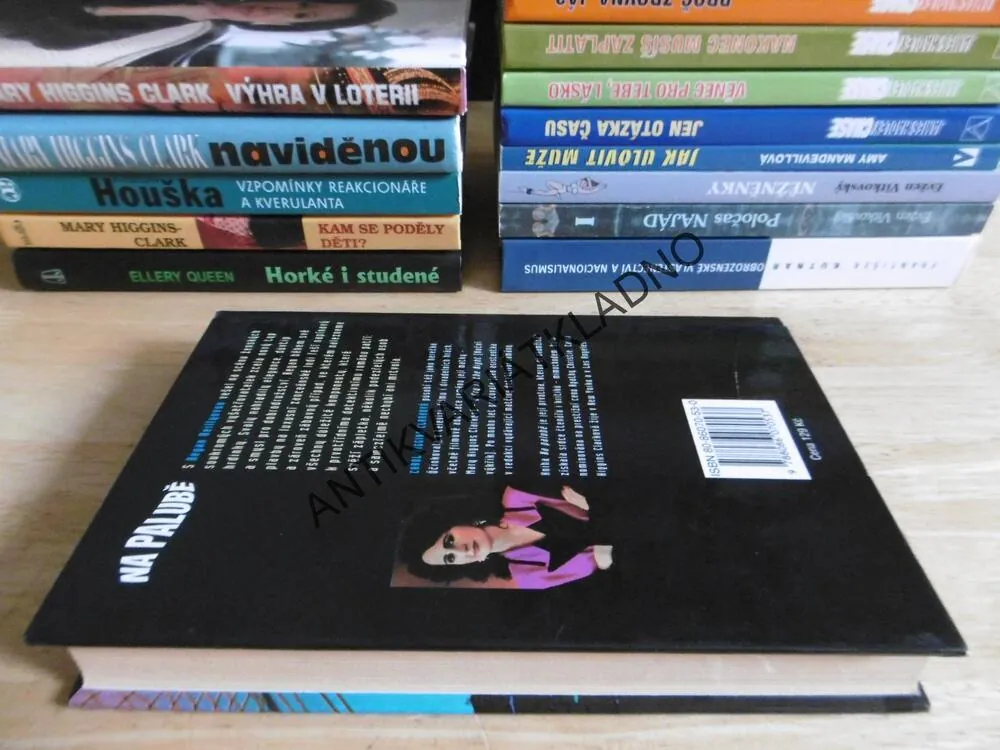 NA PALUBĚ, CAROL HIGGINS CLARKOVÁ, **an