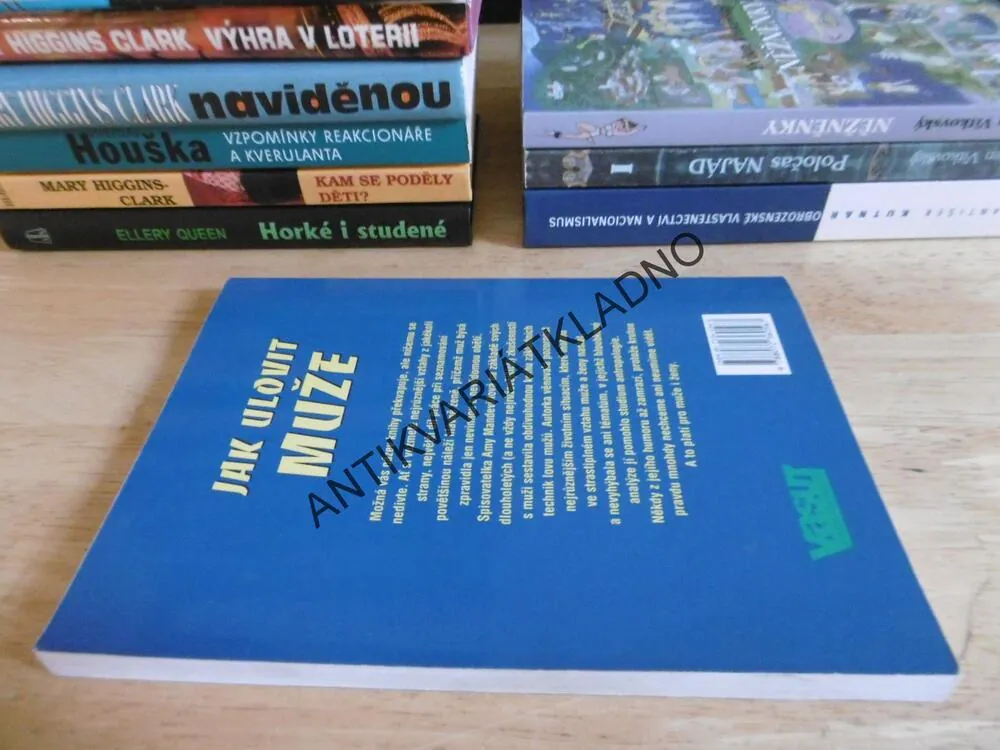 JAK ULOVIT MUŽE, AMY MANDEVILLOVÁ, **an