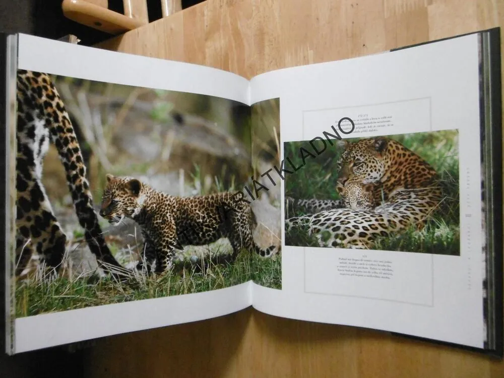 JAKÉ JE TO BÝT GEPARDEM A LEOPARDEM, CHRISTINE A MICHEL DENIS-HUOT, **an