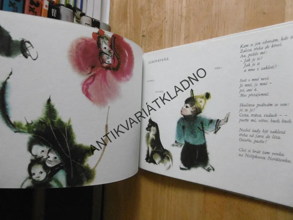 BAČKŮRKY Z MECHU, MILENA LUKEŠOVÁ, **an