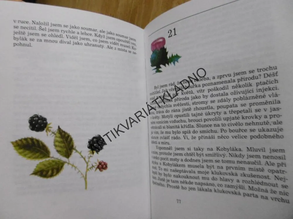 KLOUČEK SMÍTKO, BOHUMIL ŘÍHA, **an