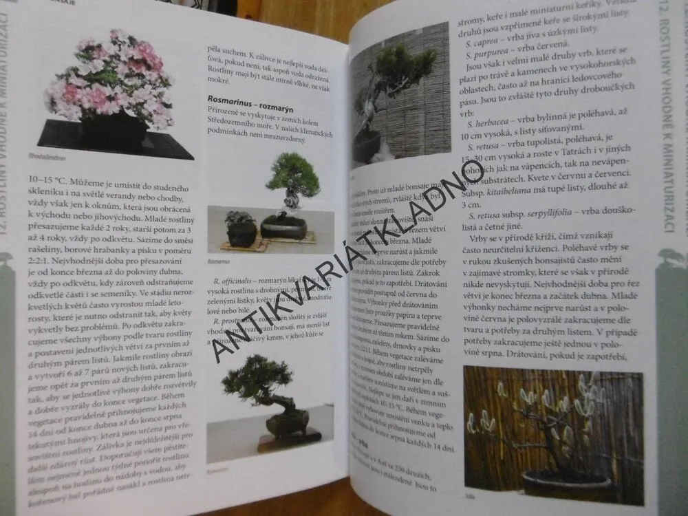 BONSAJE, VŠE O PĚSTOVÁNÍ A TVAROVÁNÍ, MILOSLAV RYŠÁN, **an
