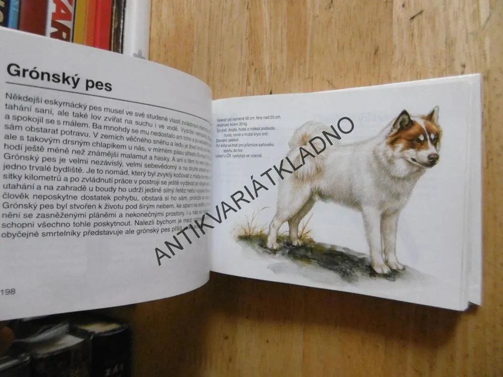 PES PRO MĚ, LEA A MARTIN SMRČKOVI, LIBUŠE A JAROMÍR KNOTKOVI, EDICE OKO, **an