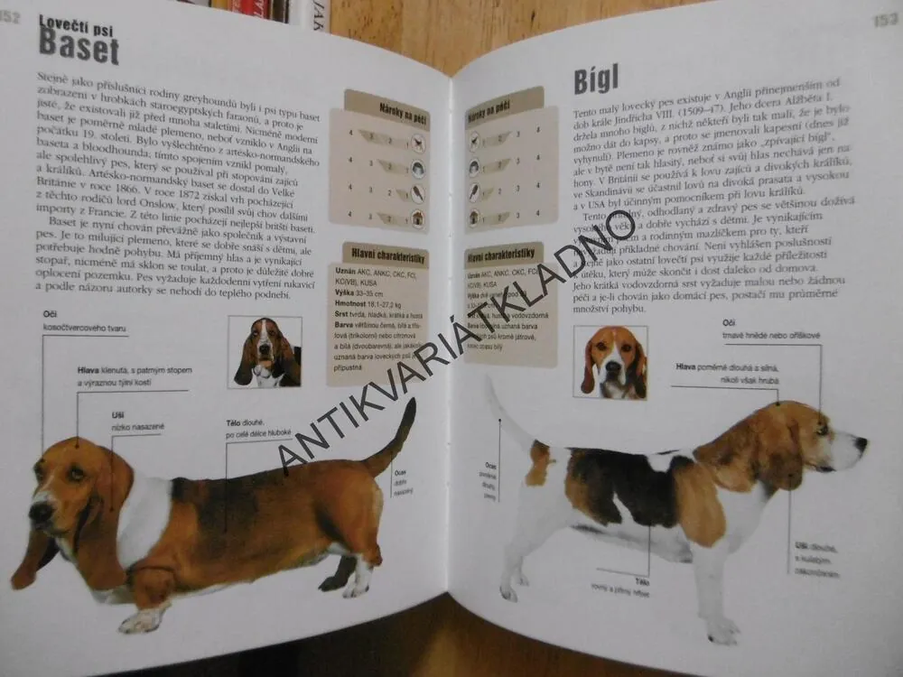 PSÍ PLEMENA, PRAKTICKÁ ENCYKLOPEDIE, JOANA PALMEROVÁ, **an