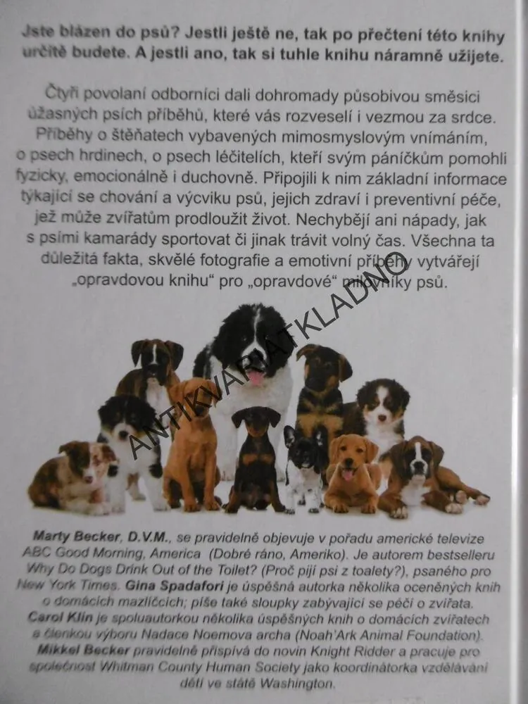 VELKÁ PSÍ LÁSKA, MARTY BECKER, GINA SPADAFORI, CAROL KLINE, MIKKEL BECKER, **an