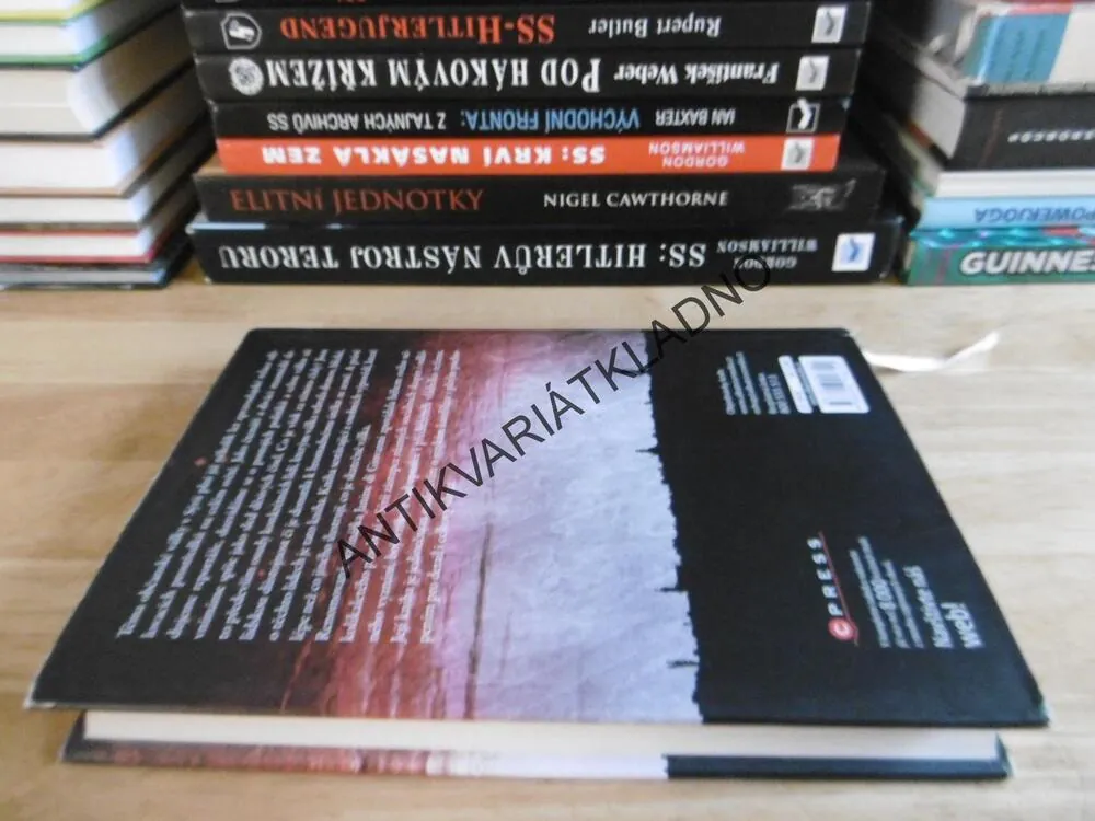 TO RÁNO, KDY SI PRO NÁS PŘIŠLI..., JANINE DI GIOVANNI, **an