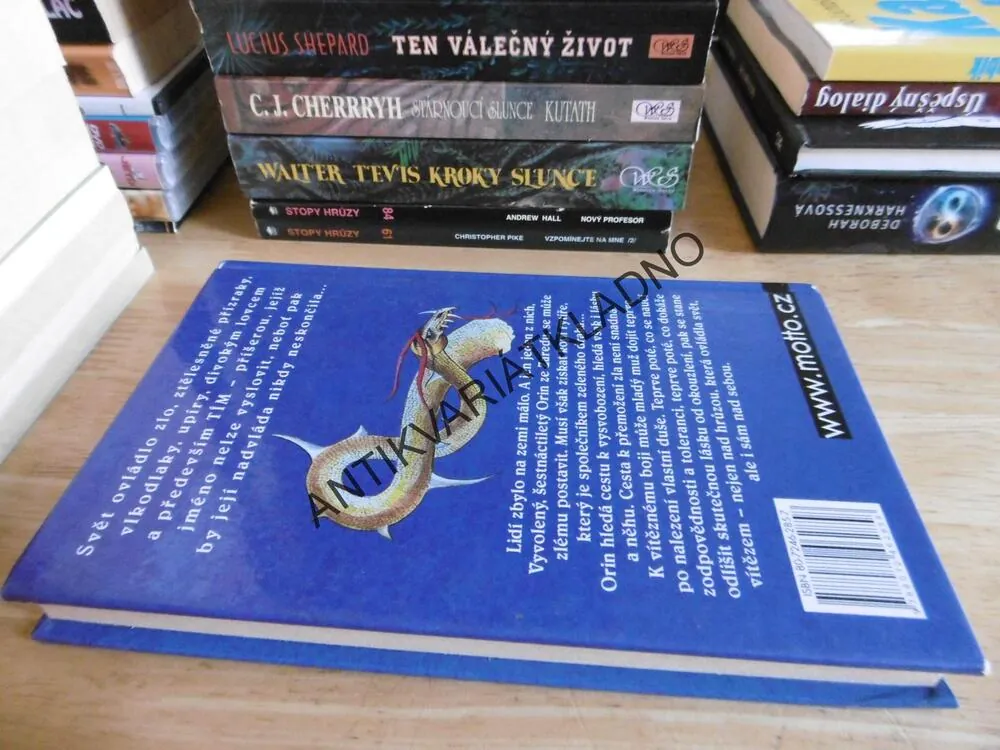 RYTÍŘOVO KOPÍ, MARTINA DRIVEJOVÁ, **an