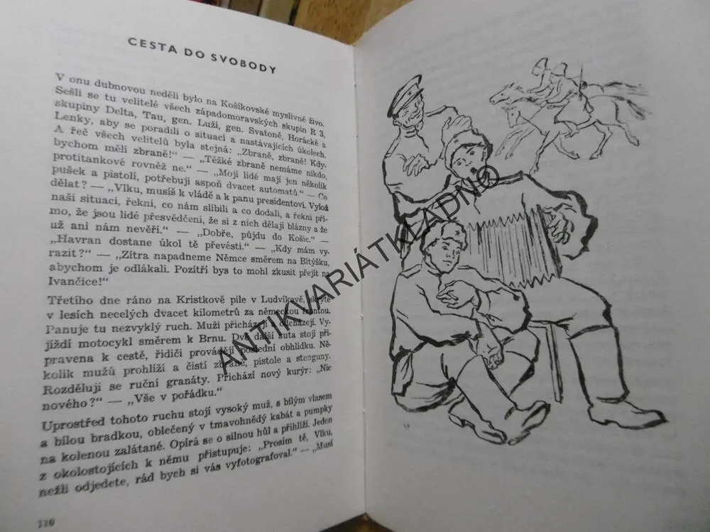 PARTYZÁNSKÉ HISTORKY, JOSEF GRŇA-VLK, **an