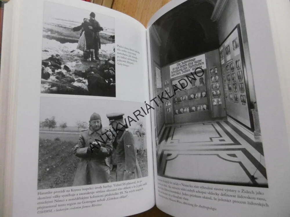 VELKÝ PLÁN, HIMMLEROVI VĚDCI A HOLOKAUST, HEATHER PRINGLEOVÁ, **an