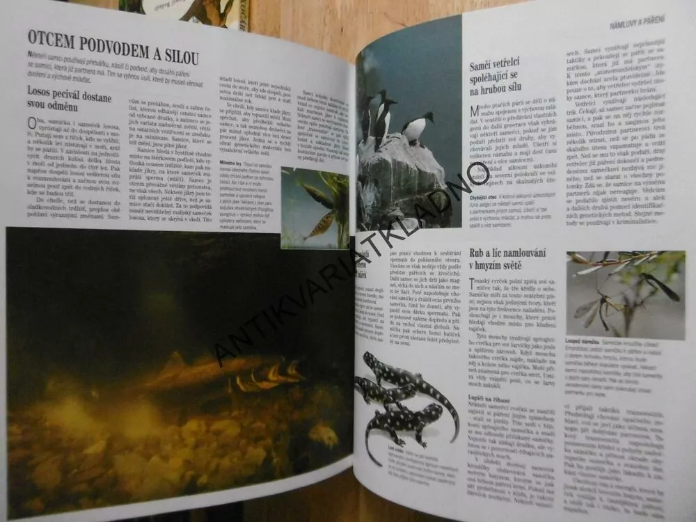 SOUKROMÍ ŽIVOČICHŮ, JOHN PALMER, **an