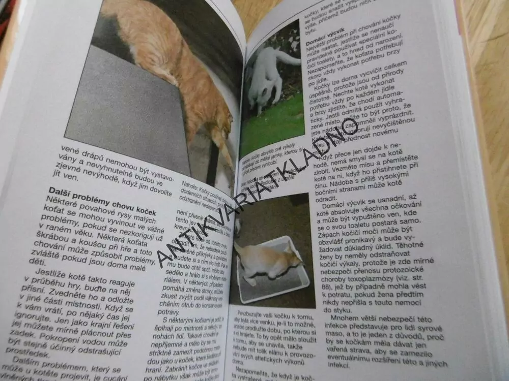 VAŠE KOČKA A KOŤÁTKO, DAVID ALDERTON, **an