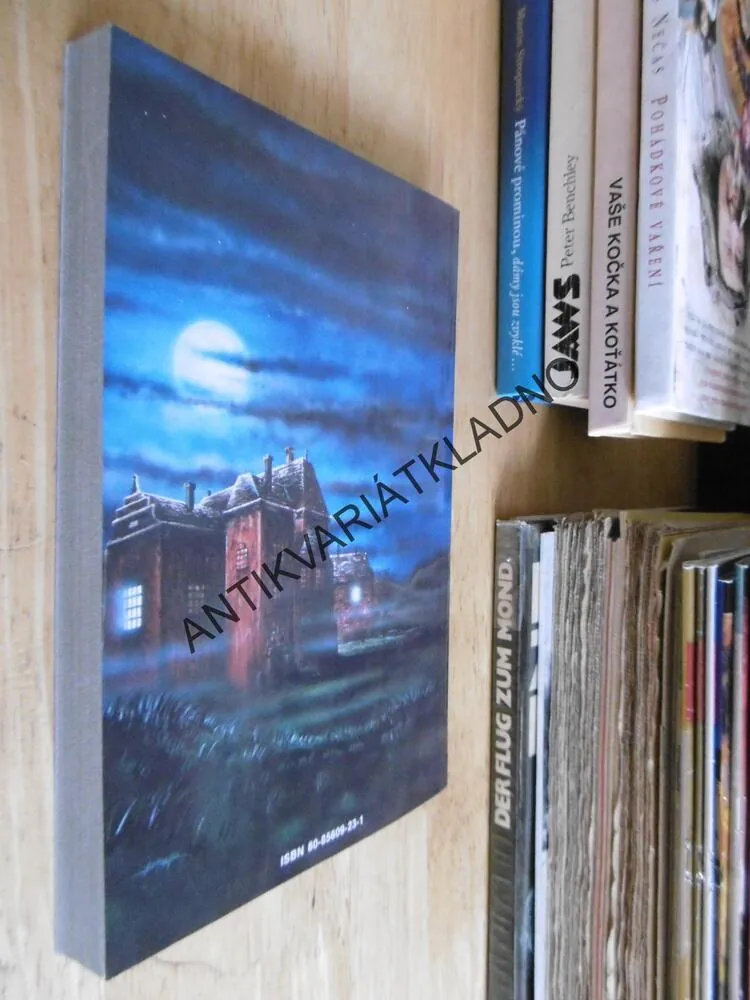 POSLEDNÍ UPÍR, SUZY MCKEE CHARNASOVÁ, **an