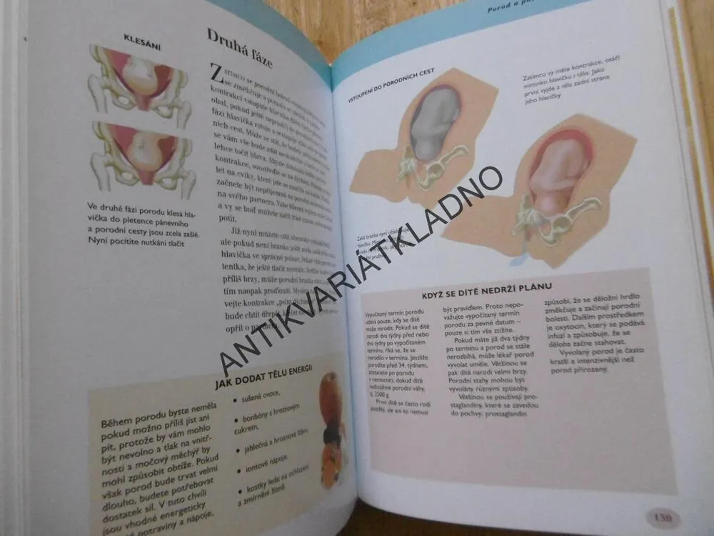 TĚHOTENSTVÍ A PÉČE O DÍTĚ, JANE SYMONS, **an