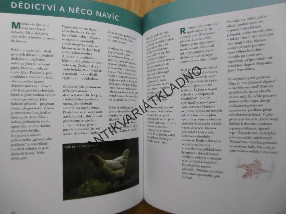 ŽIVOT NENÍ PEŘÍČKO, IRENA GÁLOVÁ, POVÍDÁNÍ O PTÁCÍCH, **an