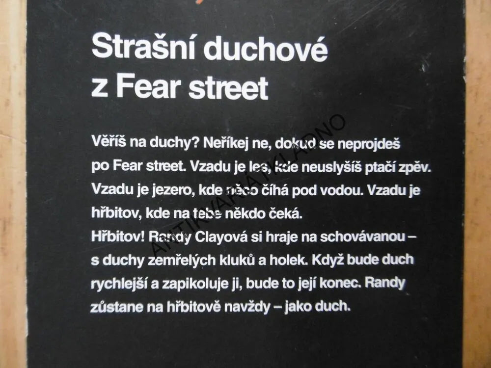 STOPY HRŮZY 81 - HRA O TĚLO, R.L. STINE,