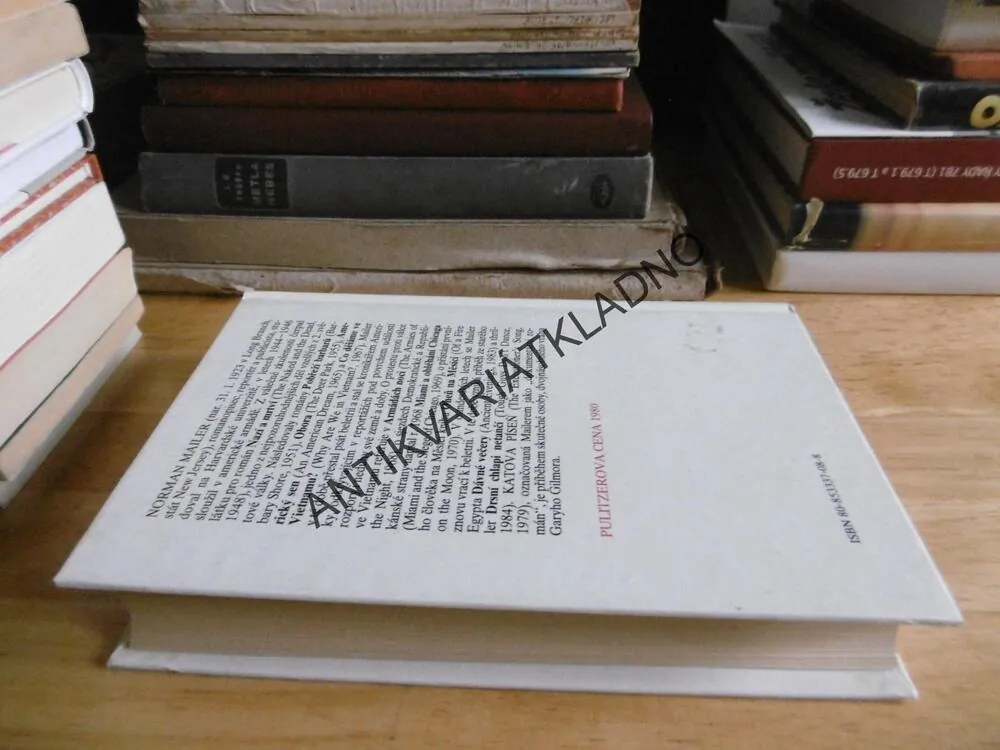 KATOVA PÍSEŇ, NORMAN MAILER, **an