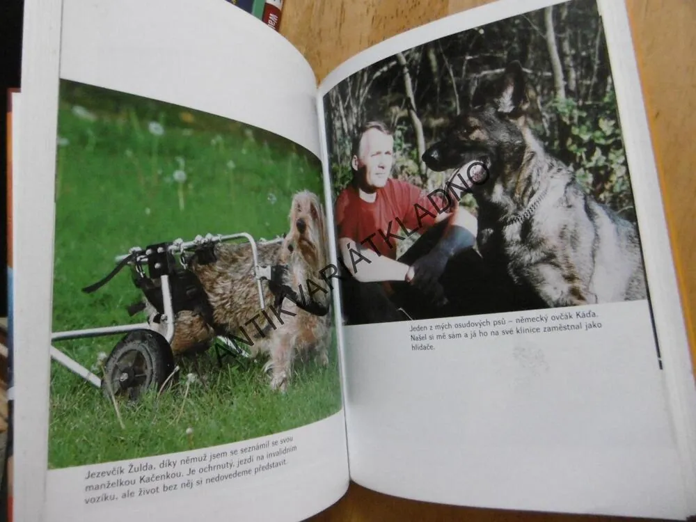 PROČ JE BÁJEČNÉ BÝT ZVĚROLÉKAŘEM, ALENA HRACHOVCOVÁ, JAN HERČÍK, **an
