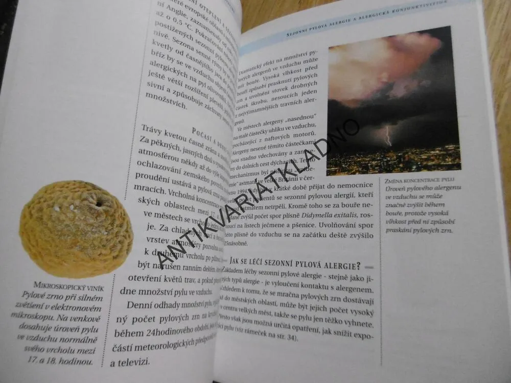 ALERGIE A SENNÁ RÝMA, INFORMACE A RADY LÉKAŘE, **an