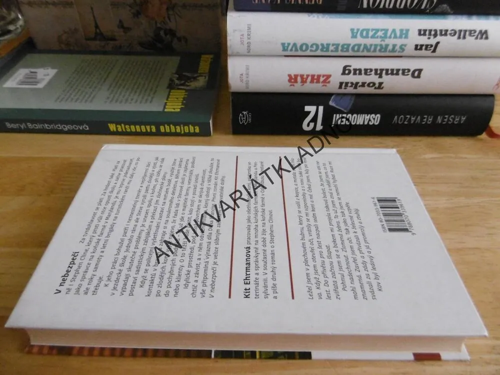 V NEBEZPEČÍ, KIT EHRMANOVÁ, **an