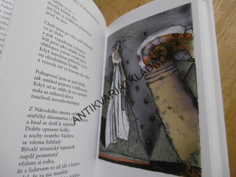 KDYBYCH SE NENARODIL, JAROSLAV HOLOUBEK, SUCHÁNEK, **an