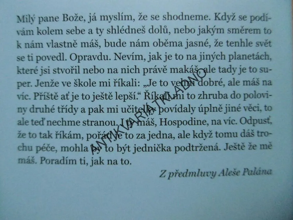 RADY PÁNU BOHU, JAK VYLEPŠIT SVĚT, ALEŠ PALÁN, JAN HRUBÝ, **an