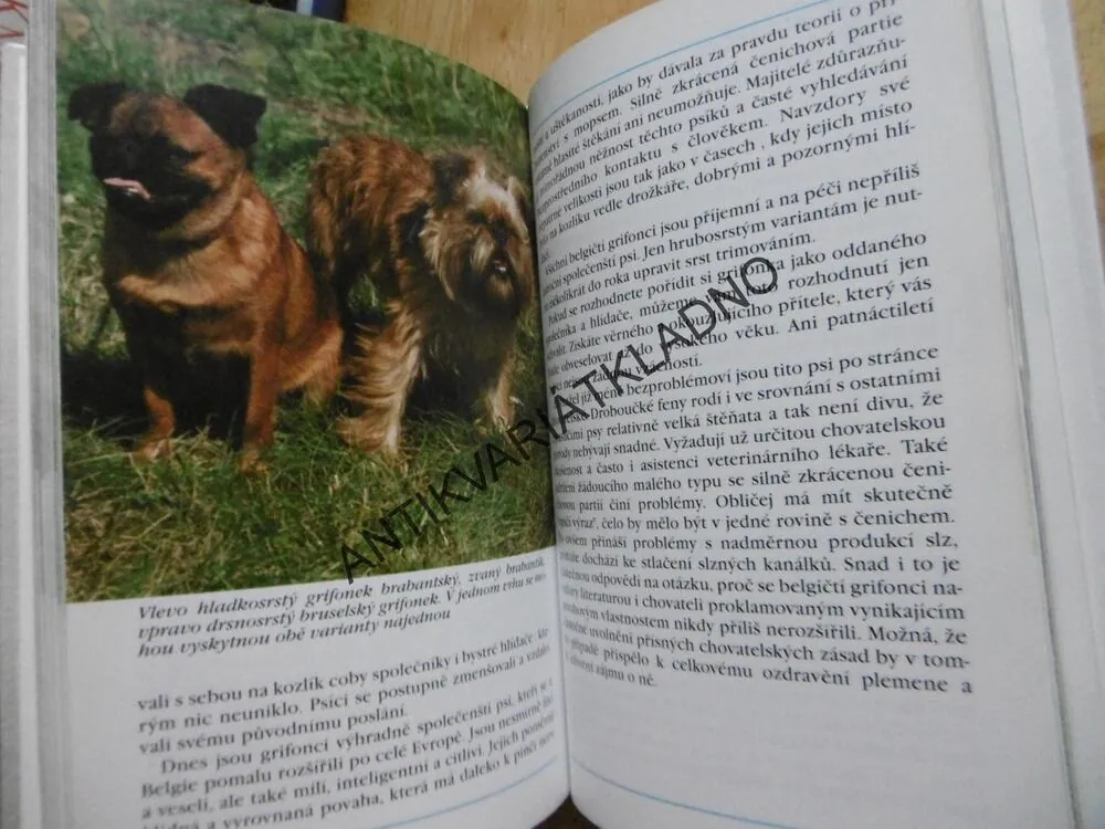 PSI DO KAPSY, LEA SMRČKOVÁ,  **an