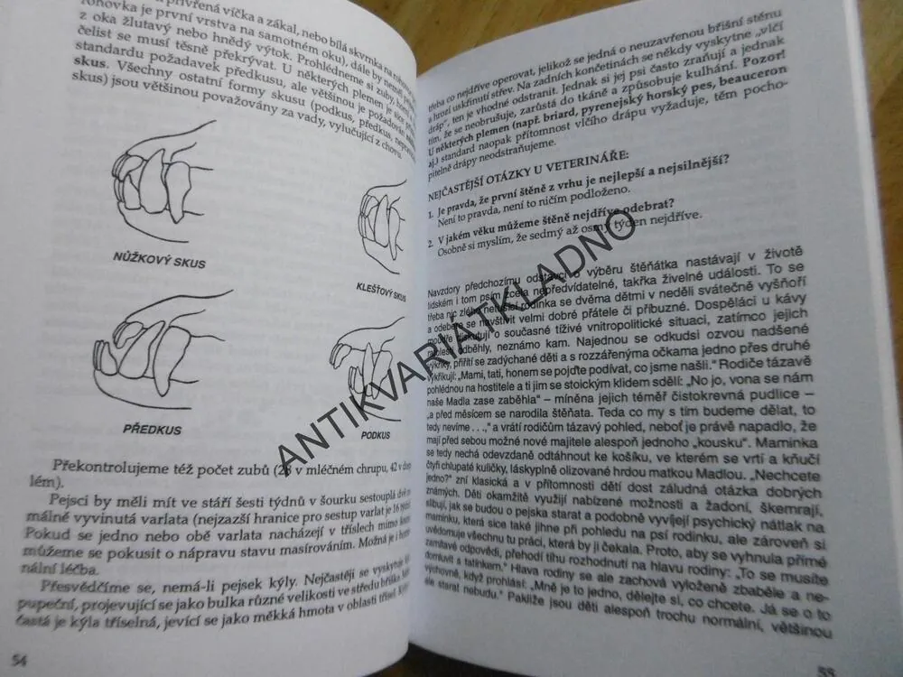ŠTĚŇATA, VÝŽIVA, PÉČE, VÝCHOVA, VLADIMÍRA JESTŘÁBOVÁ, **an