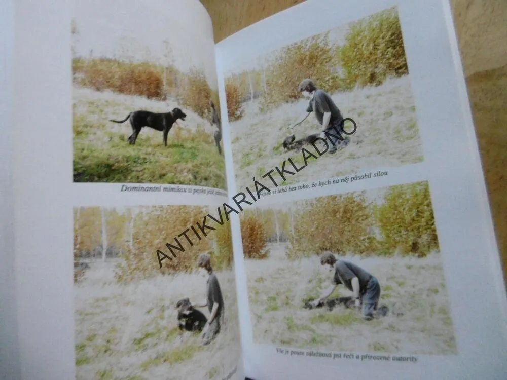 PŘIROZENÁ KOMUNIKACE A ŽIVOT SE PSY, VIKTOR DOSTÁL, **an
