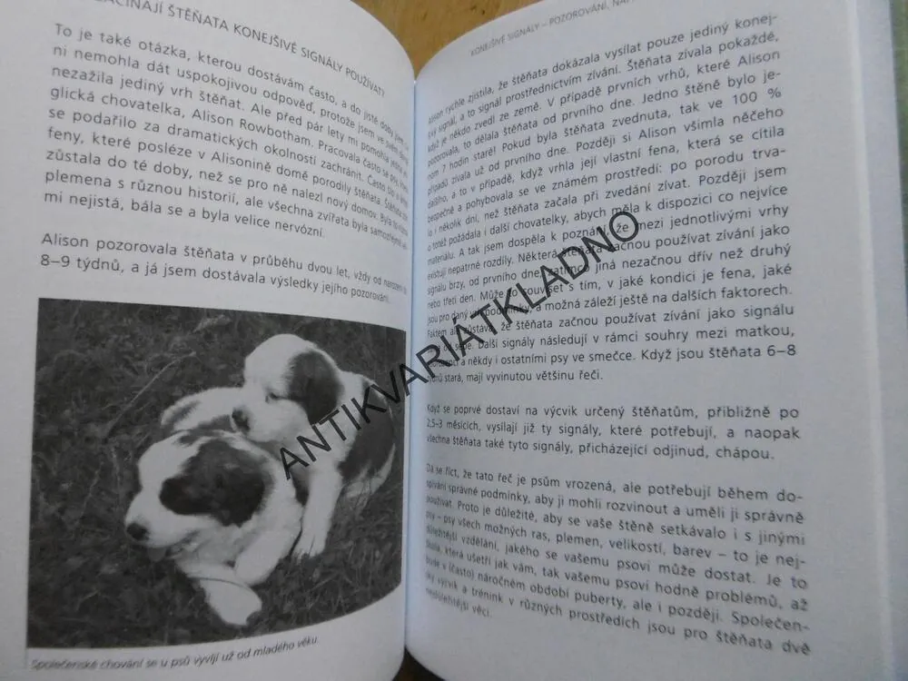 KONEJŠIVÉ SIGNÁLY, NA JEDNÉ VLNĚ SE PSEM, TURID RUGAAS, **an