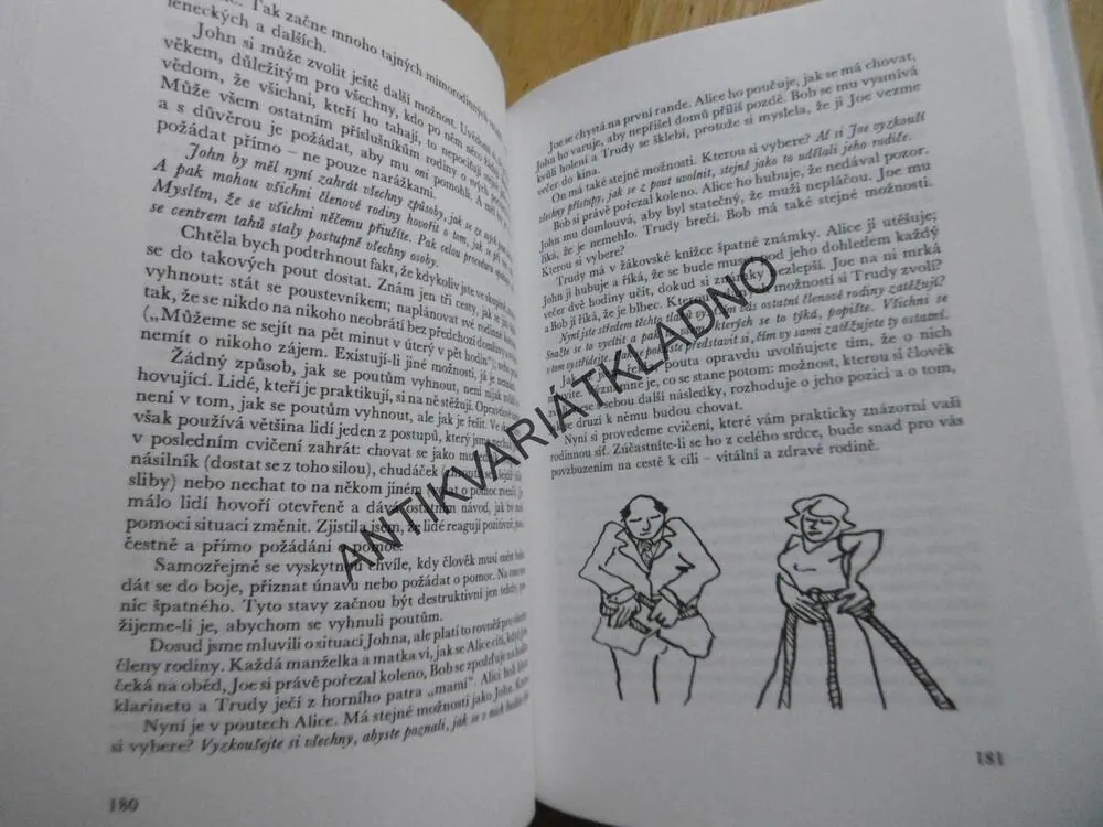 KNIHA O RODINĚ, VIRGINIA SATIROVÁ, , **an