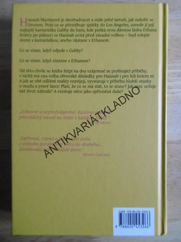 MOŽNÁ V JINÉM ŽIVOTĚ, TAYLOR JENKINS REIDOVÁ, **an