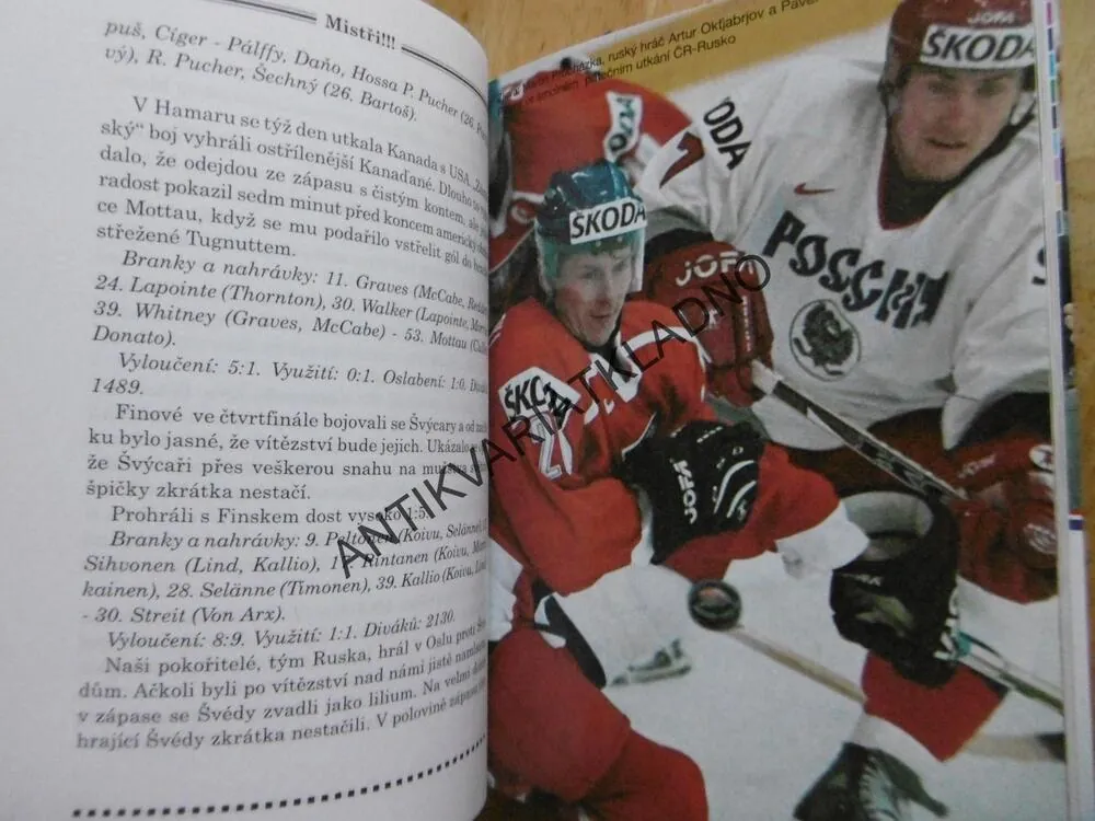 MISTŘI!!!, CESTA NAŠICH HOKEJISTŮ ZA ZLATEM NA MS 1999 V NORSKU, **an