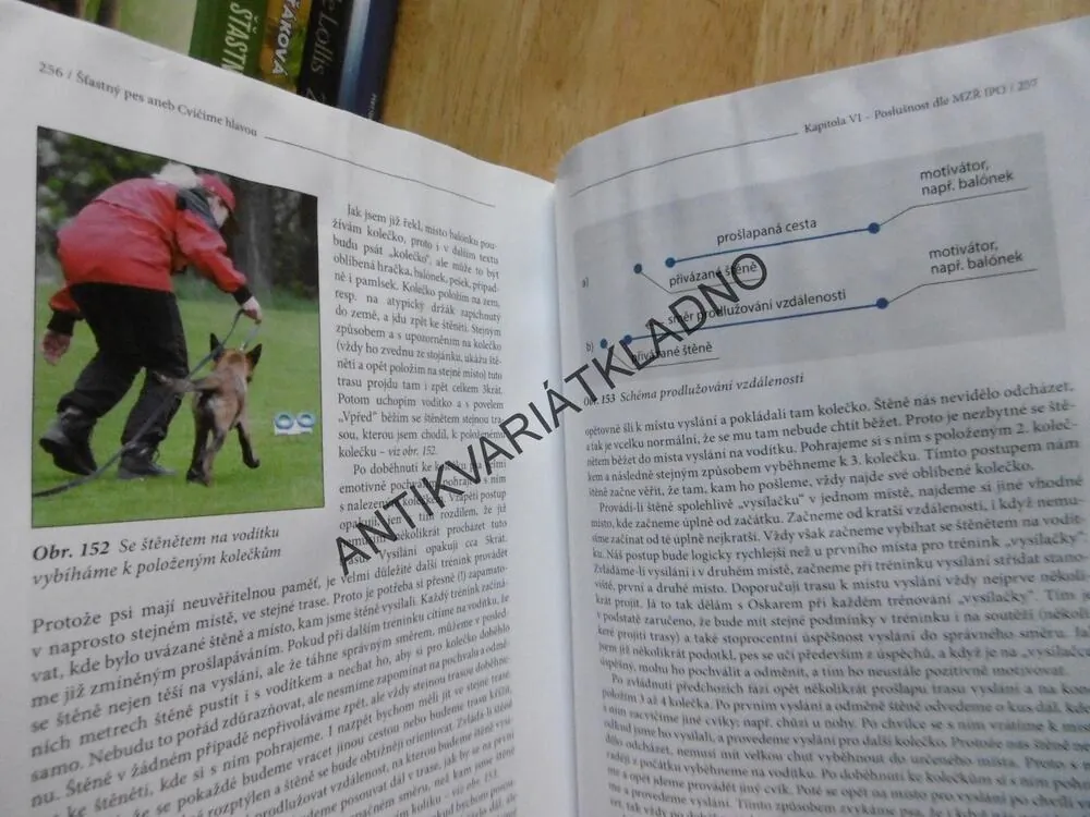 ŠTASTNÝ PES ANEB CVIČÍME HLAVOU, 1. DÍL, LADISLAV MACH, **an