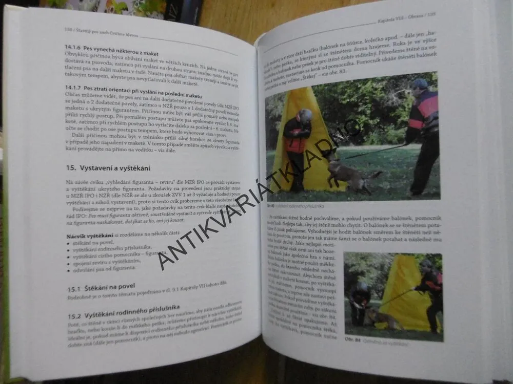 ŠTASTNÝ PES ANEB CVIČÍME HLAVOU, 2. DÍL, LADISLAV MACH, **an