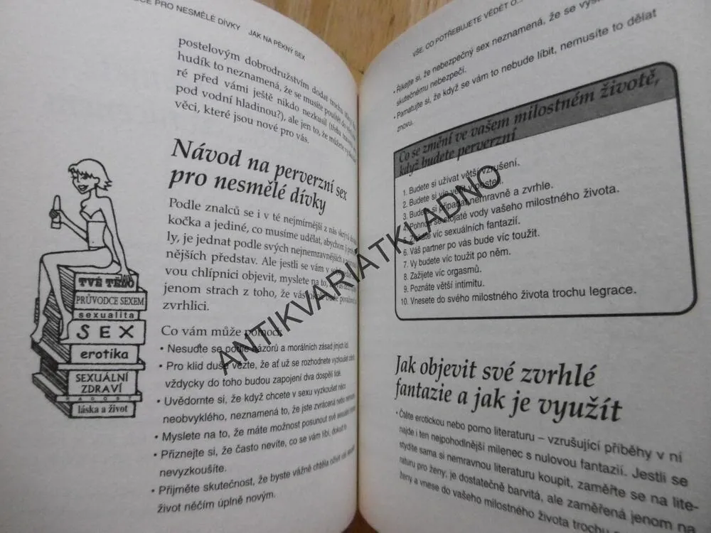 PRŮVODCE PRO NESMĚLÉ DÍVKY, JAK NA PĚKNÝ SEX, ANITA NAIK, **an