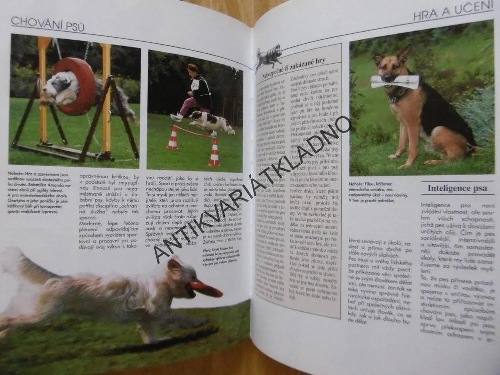 PSÍ DESATERO, MONIKA WEGLEROVÁ, **an