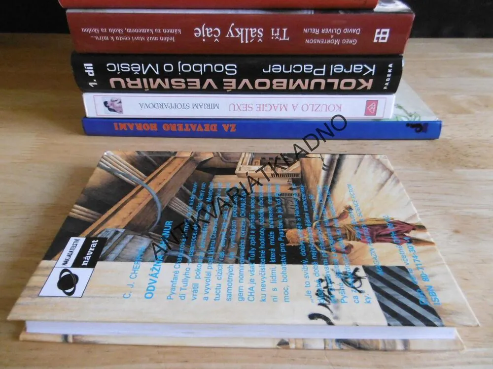 ODVÁŽNÁ CHANUR, C. J. CHERRYH, **an