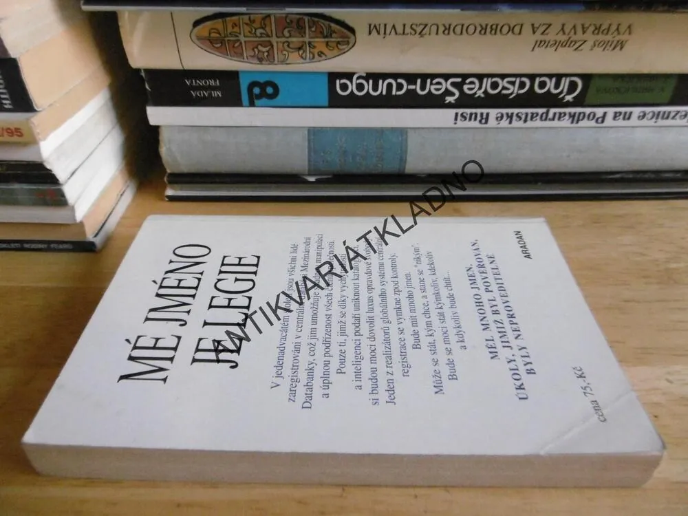 MÉ JMÉNO JE LEGIE, ROGER ZELAZNY, **an