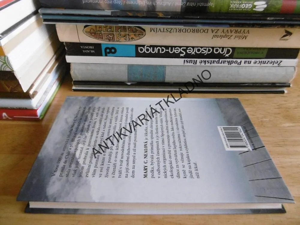DO NEBE A ZPÁTKY, MARY C. NEALOVÁ, **an