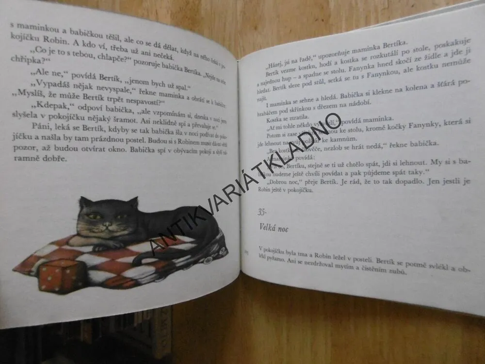 STŘÍBRNÉ DOBRODRUŽSTVÍ, EDUARD PETIŠKA, **an