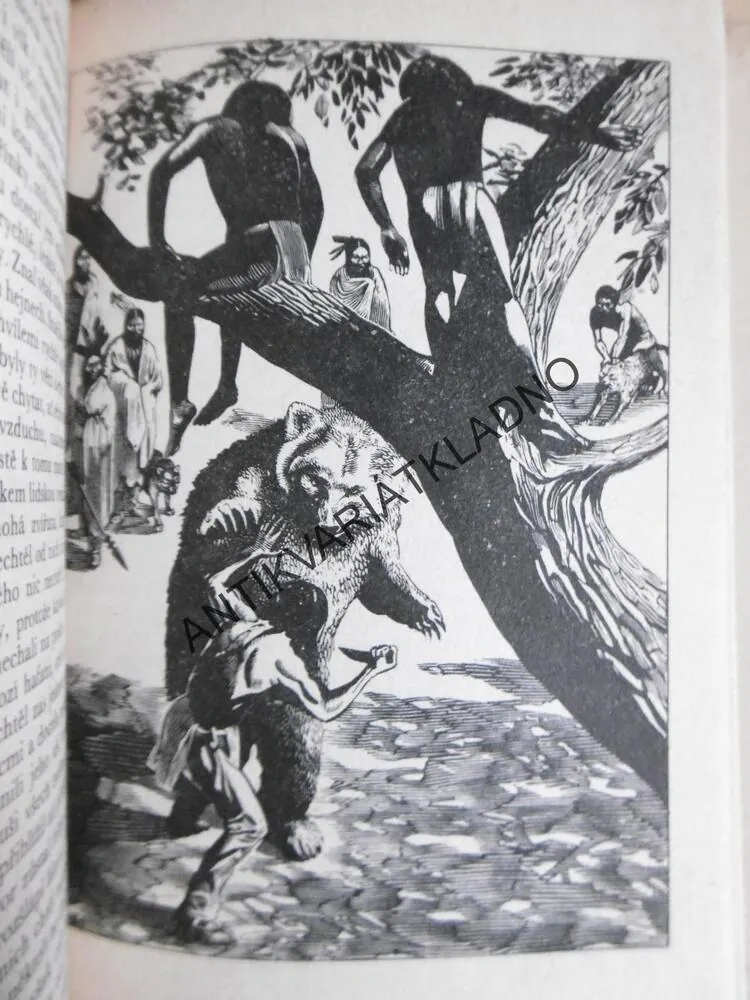 KOD 116/4 TEKUMSEH, FRITZ STEUBEN, VRAŠTIL, 1979, **an