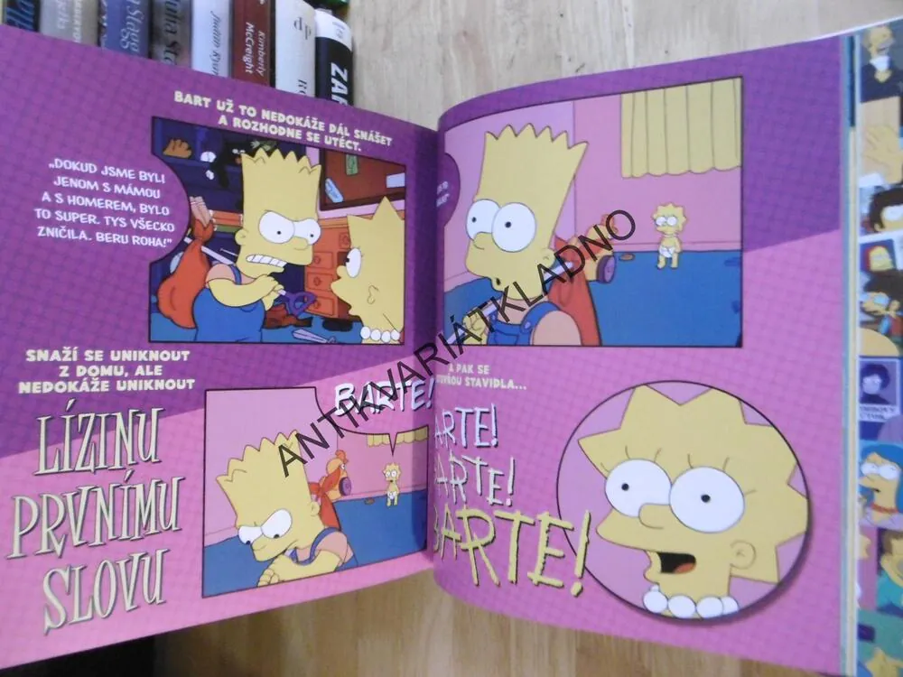 SIMPSONOVI, RODINNÁ HISTORIE, OSLAVA OBLÍBENÉ TELEVIZNÍ RODINY, MATT GROENING, **an