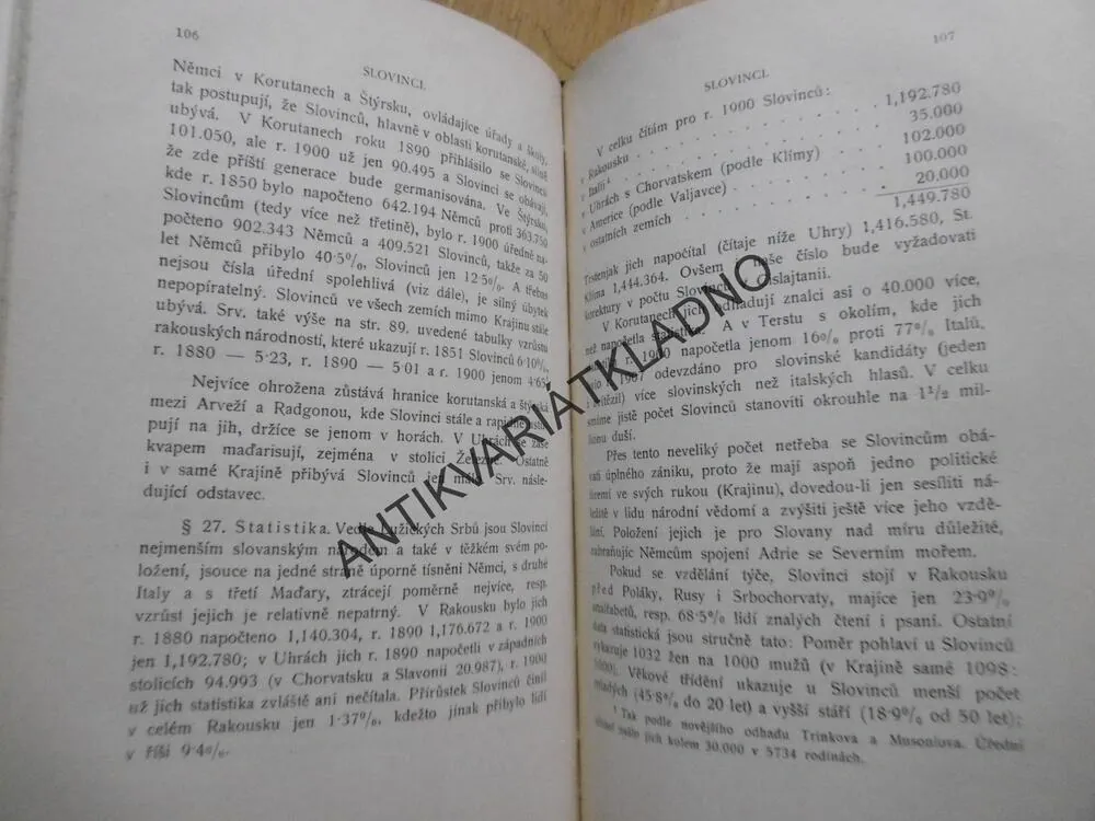 SLOVANSKÝ SVĚT, NIEDERLE, ZEMĚPISNÝ A STATSICKÝ OBRAZ SOUČASNÉHO SLOVANSTVA 1909