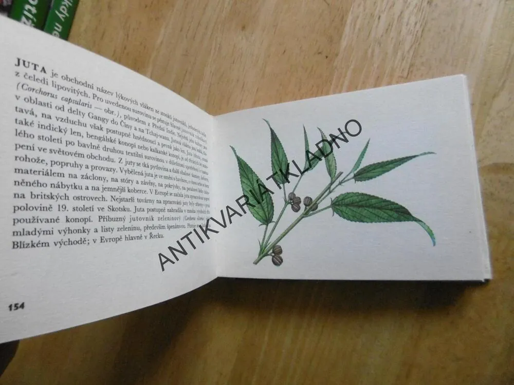 ROSTLINY ZNÁMÉ NEZNÁMÉ, JIRÁSEK, PROCHÁZKA, EDICE OKO 28, **an