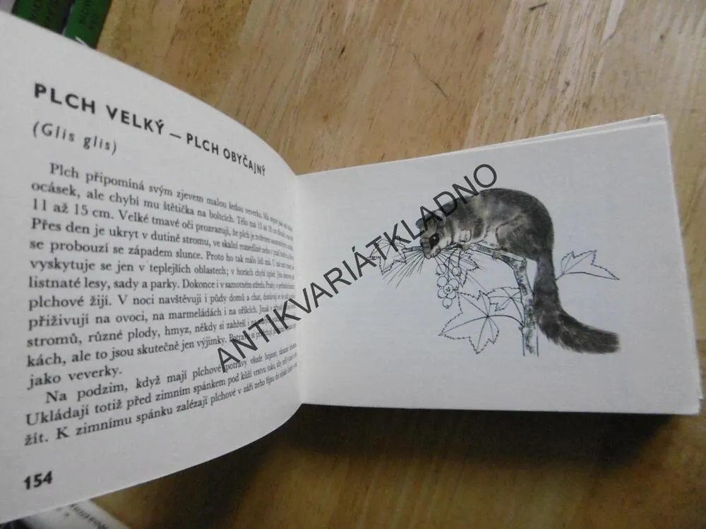 NAŠI SAVCI, HANZÁK, ČERNÁ, MAZÁK, EDICE OKO 26, **an